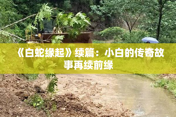 《白蛇缘起》续篇：小白的传奇故事再续前缘