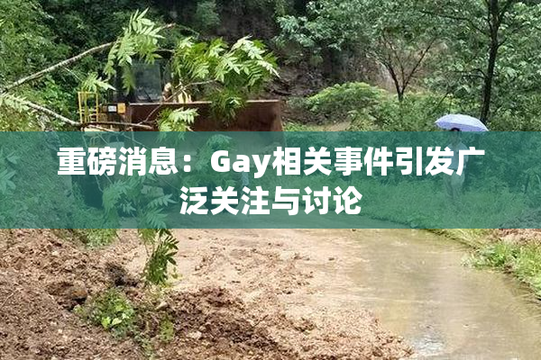 重磅消息：Gay相关事件引发广泛关注与讨论