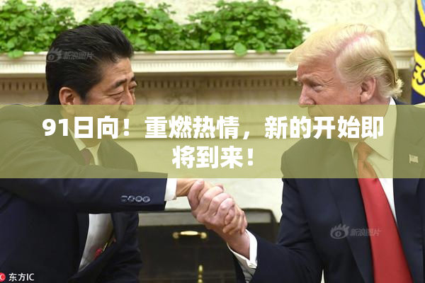 91日向！重燃热情，新的开始即将到来！