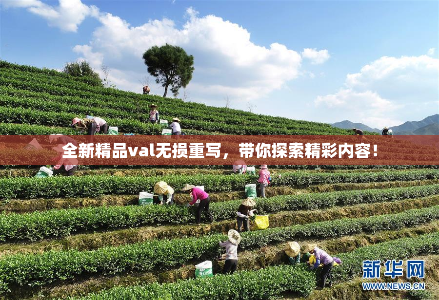 全新精品val无损重写，带你探索精彩内容！