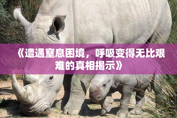 《遭遇窒息困境，呼吸变得无比艰难的真相揭示》