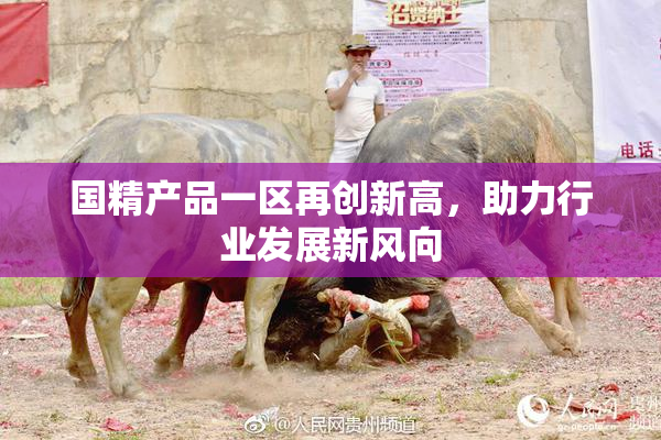 国精产品一区再创新高，助力行业发展新风向
