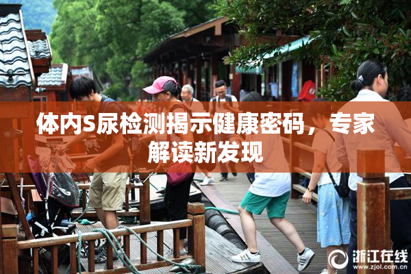 体内S尿检测揭示健康密码，专家解读新发现