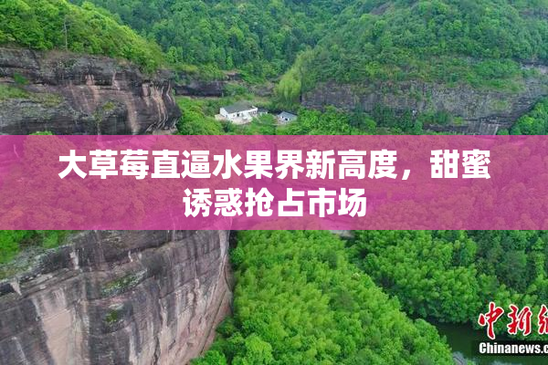 大草莓直逼水果界新高度，甜蜜诱惑抢占市场