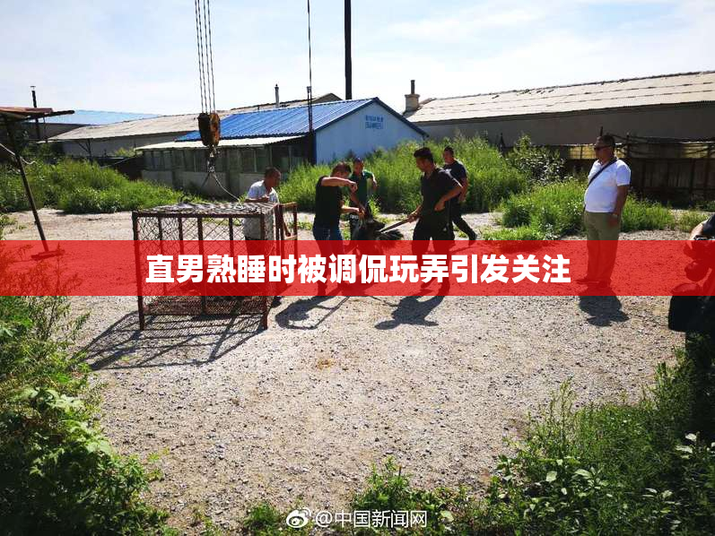 直男熟睡时被调侃玩弄引发关注