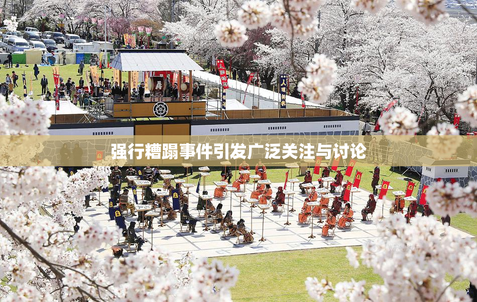 强行糟蹋事件引发广泛关注与讨论
