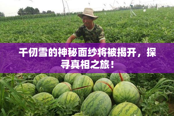 千仞雪的神秘面纱将被揭开，探寻真相之旅！