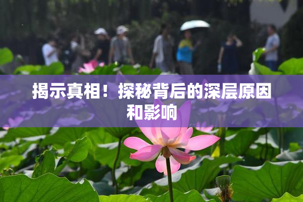 揭示真相！探秘背后的深层原因和影响