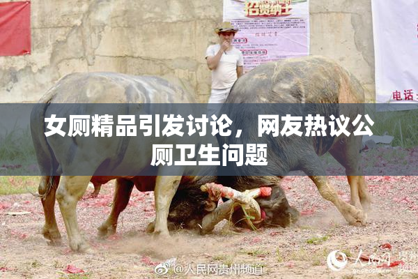 女厕精品引发讨论，网友热议公厕卫生问题