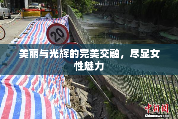 美丽与光辉的完美交融，尽显女性魅力