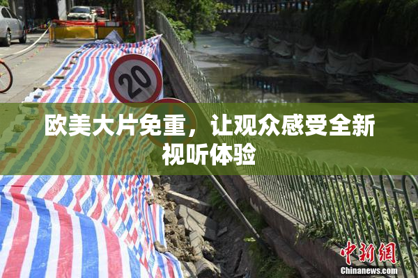 欧美大片免重，让观众感受全新视听体验