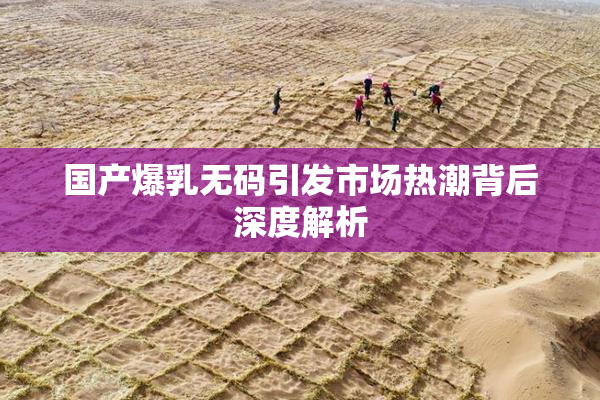 国产爆乳无码引发市场热潮背后深度解析