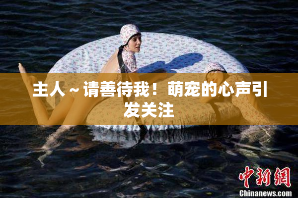 主人～请善待我！萌宠的心声引发关注