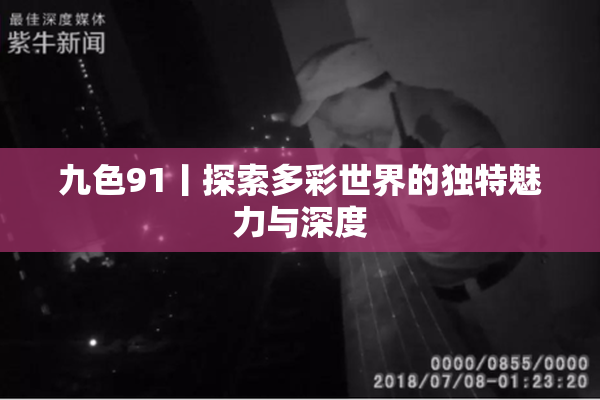 九色91丨探索多彩世界的独特魅力与深度