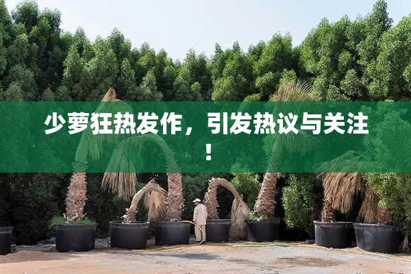 少萝狂热发作，引发热议与关注！
