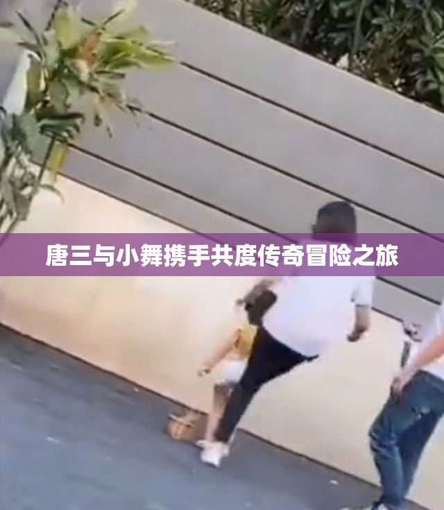 唐三与小舞携手共度传奇冒险之旅