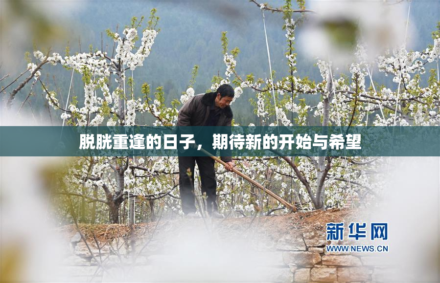 脱胱重逢的日子，期待新的开始与希望