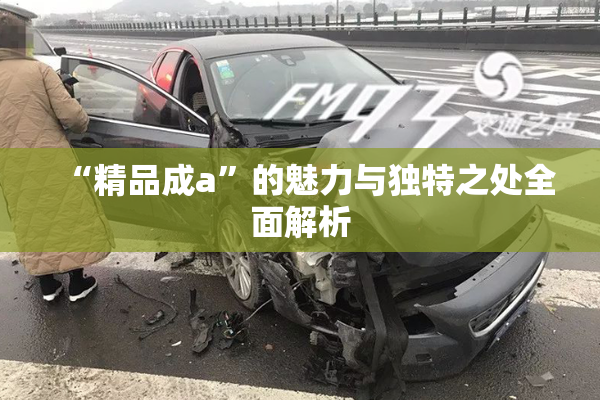 “精品成a”的魅力与独特之处全面解析