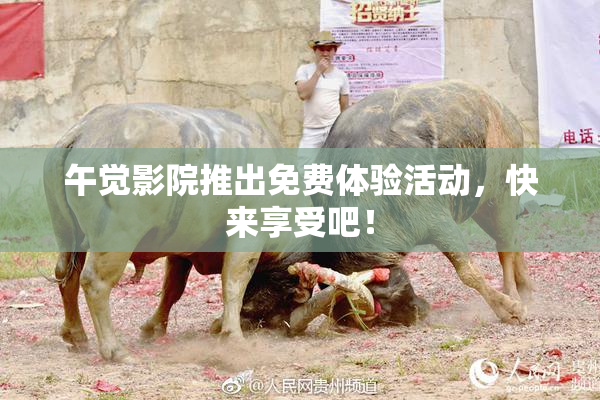 午觉影院推出免费体验活动，快来享受吧！