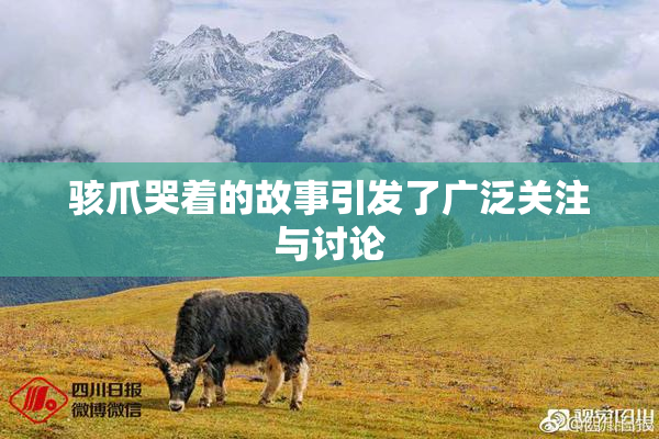 骇爪哭着的故事引发了广泛关注与讨论